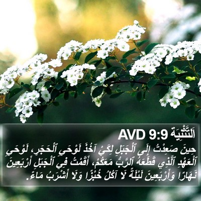 اَلتَّثْنِيَة 9:9 AVD Bible Verse Image