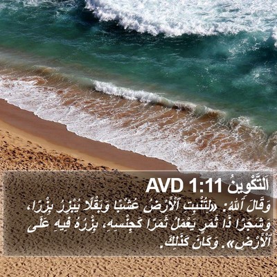 اَلتَّكْوِينُ 1:11 AVD Bible Verse Image