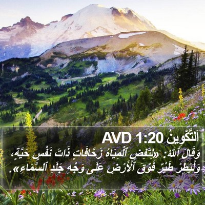 اَلتَّكْوِينُ 1:20 AVD Bible Verse Image