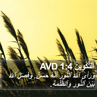 اَلتَّكْوِينُ 1:4 AVD Bible Verse Image