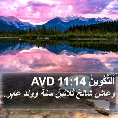 اَلتَّكْوِينُ 11:14 AVD Bible Verse Image