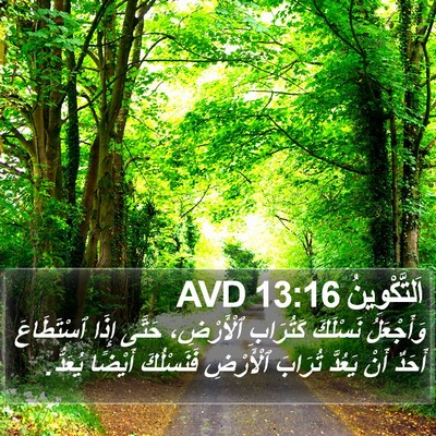 اَلتَّكْوِينُ 13:16 AVD Bible Verse Image