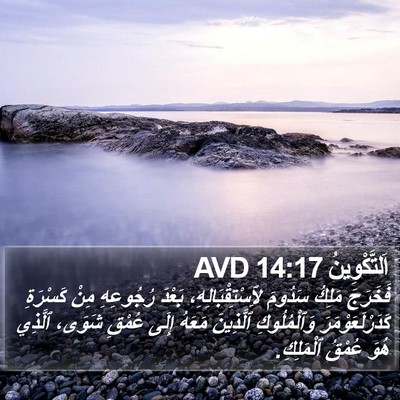 اَلتَّكْوِينُ 14:17 AVD Bible Verse Image