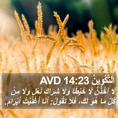 اَلتَّكْوِينُ 14:23 AVD Bible Verse Image