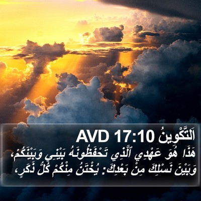 اَلتَّكْوِينُ 17:10 AVD Bible Verse Image