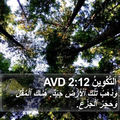 اَلتَّكْوِينُ 2:12 AVD Bible Verse Image