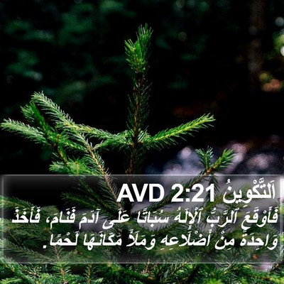 اَلتَّكْوِينُ 2:21 AVD Bible Verse Image