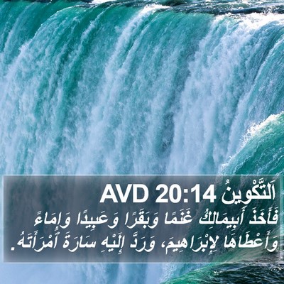 اَلتَّكْوِينُ 20:14 AVD Bible Verse Image
