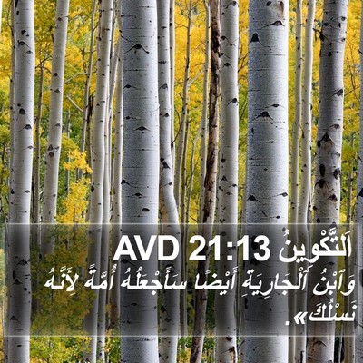 اَلتَّكْوِينُ 21:13 AVD Bible Verse Image