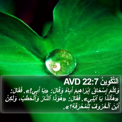 اَلتَّكْوِينُ 22:7 AVD Bible Verse Image