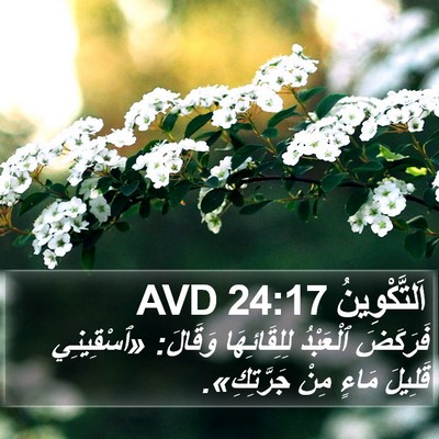 اَلتَّكْوِينُ 24:17 AVD Bible Verse Image