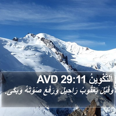 اَلتَّكْوِينُ 29:11 AVD Bible Verse Image
