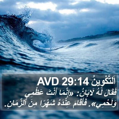 اَلتَّكْوِينُ 29:14 AVD Bible Verse Image