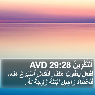 اَلتَّكْوِينُ 29:28 AVD Bible Verse Image