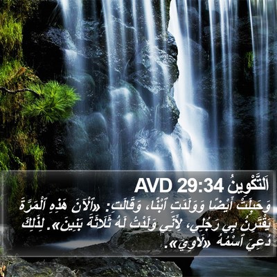اَلتَّكْوِينُ 29:34 AVD Bible Verse Image