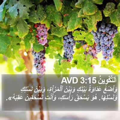 اَلتَّكْوِينُ 3:15 AVD Bible Verse Image