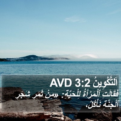 اَلتَّكْوِينُ 3:2 AVD Bible Verse Image