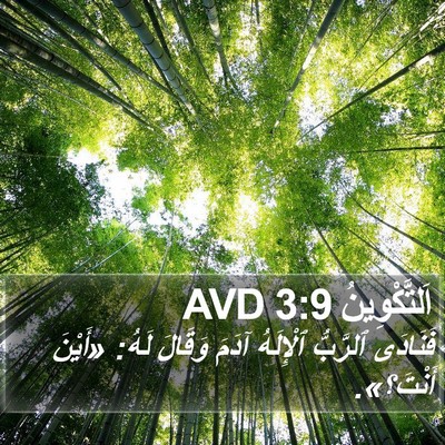 اَلتَّكْوِينُ 3:9 AVD Bible Verse Image