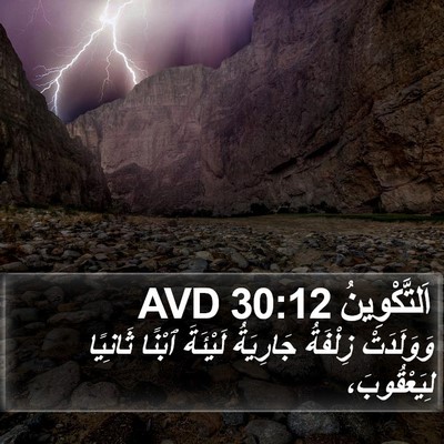 اَلتَّكْوِينُ 30:12 AVD Bible Verse Image