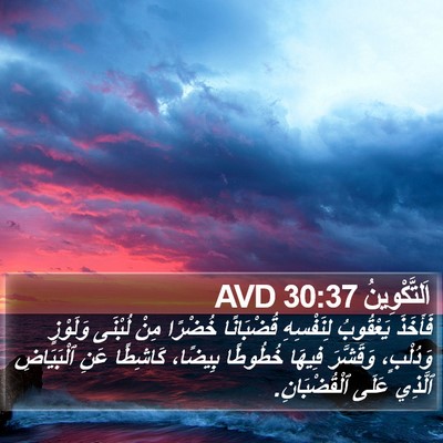 اَلتَّكْوِينُ 30:37 AVD Bible Verse Image