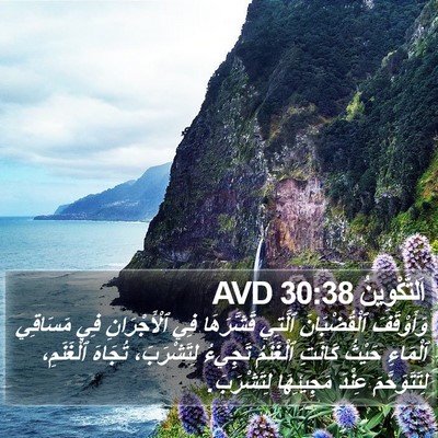 اَلتَّكْوِينُ 30:38 AVD Bible Verse Image