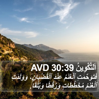 اَلتَّكْوِينُ 30:39 AVD Bible Verse Image