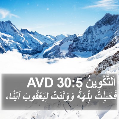 اَلتَّكْوِينُ 30:5 AVD Bible Verse Image