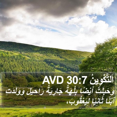 اَلتَّكْوِينُ 30:7 AVD Bible Verse Image