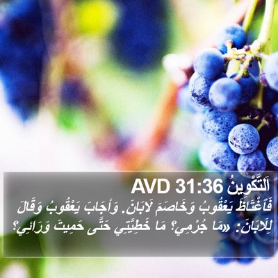 اَلتَّكْوِينُ 31:36 AVD Bible Verse Image