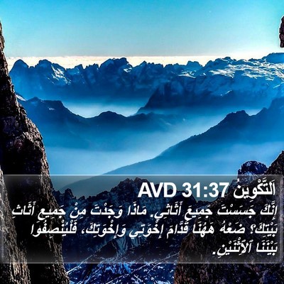 اَلتَّكْوِينُ 31:37 AVD Bible Verse Image
