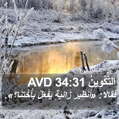 اَلتَّكْوِينُ 34:31 AVD Bible Verse Image