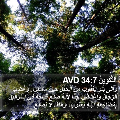 اَلتَّكْوِينُ 34:7 AVD Bible Verse Image
