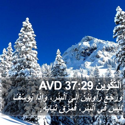 اَلتَّكْوِينُ 37:29 AVD Bible Verse Image
