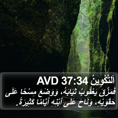 اَلتَّكْوِينُ 37:34 AVD Bible Verse Image