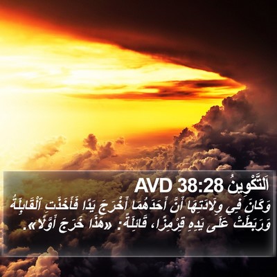 اَلتَّكْوِينُ 38:28 AVD Bible Verse Image