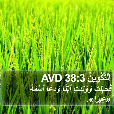 اَلتَّكْوِينُ 38:3 AVD Bible Verse Image