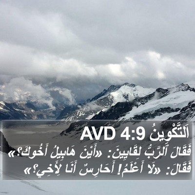 اَلتَّكْوِينُ 4:9 AVD Bible Verse Image