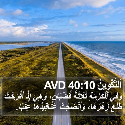 اَلتَّكْوِينُ 40:10 AVD Bible Verse Image