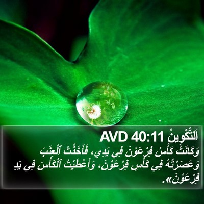 اَلتَّكْوِينُ 40:11 AVD Bible Verse Image