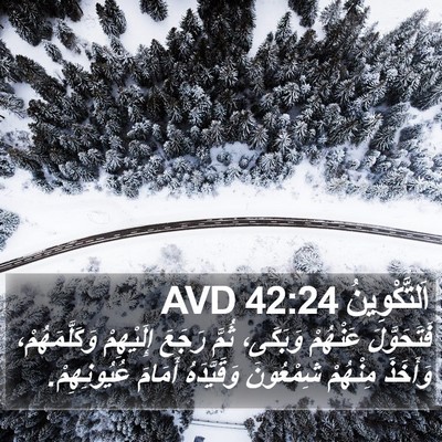 اَلتَّكْوِينُ 42:24 AVD Bible Verse Image