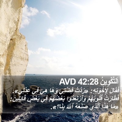 اَلتَّكْوِينُ 42:28 AVD Bible Verse Image