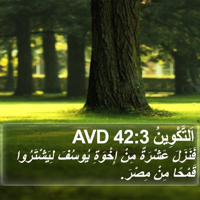 اَلتَّكْوِينُ 42:3 AVD Bible Verse Image
