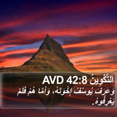 اَلتَّكْوِينُ 42:8 AVD Bible Verse Image