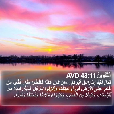 اَلتَّكْوِينُ 43:11 AVD Bible Verse Image
