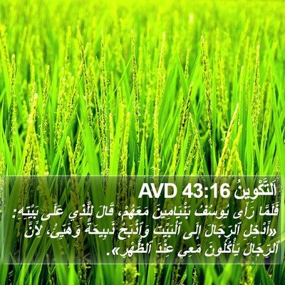 اَلتَّكْوِينُ 43:16 AVD Bible Verse Image