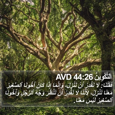 اَلتَّكْوِينُ 44:26 AVD Bible Verse Image