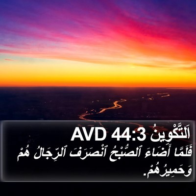 اَلتَّكْوِينُ 44:3 AVD Bible Verse Image