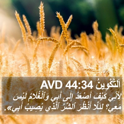 اَلتَّكْوِينُ 44:34 AVD Bible Verse Image