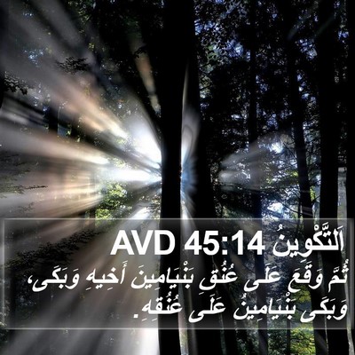اَلتَّكْوِينُ 45:14 AVD Bible Verse Image