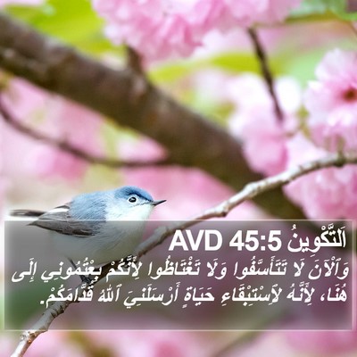 اَلتَّكْوِينُ 45:5 AVD Bible Verse Image